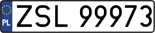 ZSL99973