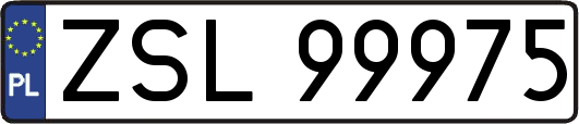 ZSL99975