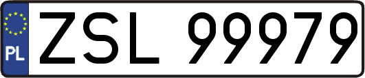 ZSL99979