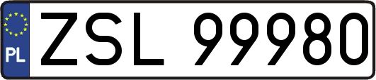 ZSL99980