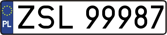 ZSL99987