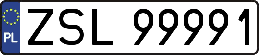 ZSL99991