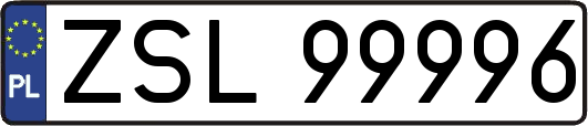 ZSL99996