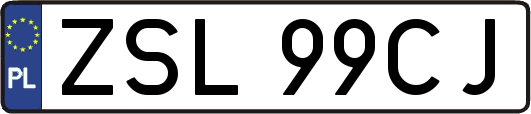 ZSL99CJ