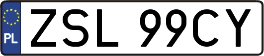 ZSL99CY