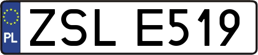 ZSLE519