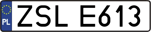 ZSLE613