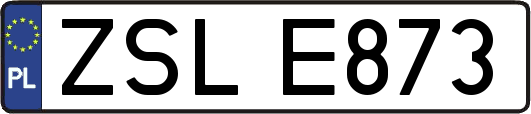 ZSLE873