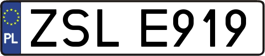 ZSLE919