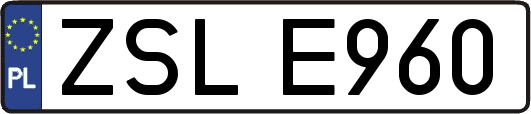ZSLE960