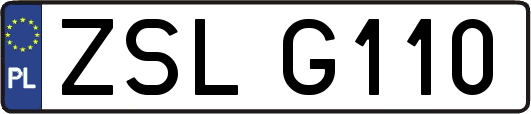ZSLG110