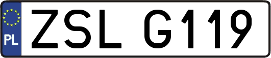 ZSLG119