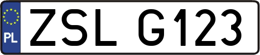 ZSLG123