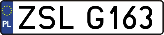 ZSLG163