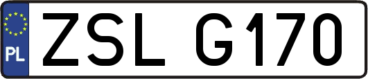 ZSLG170