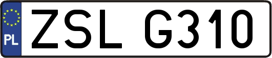 ZSLG310