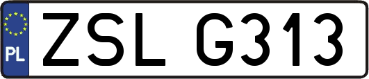 ZSLG313