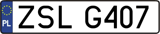 ZSLG407