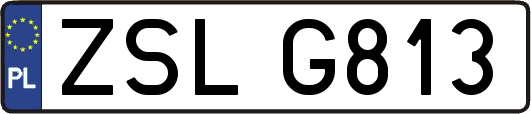 ZSLG813