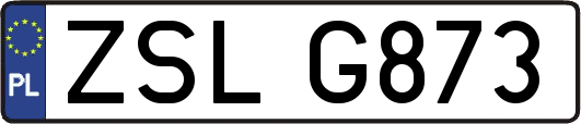 ZSLG873