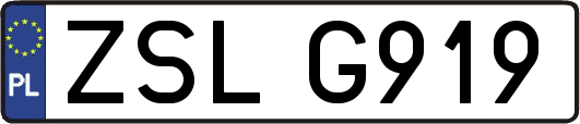 ZSLG919