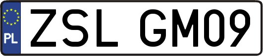 ZSLGM09