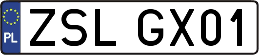 ZSLGX01