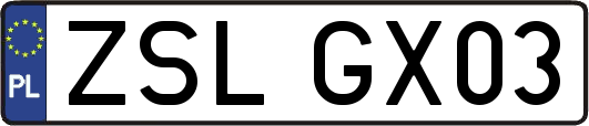 ZSLGX03