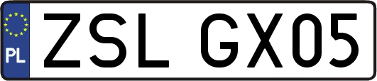 ZSLGX05