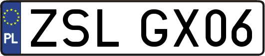 ZSLGX06