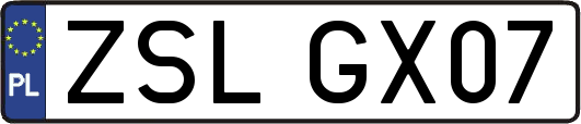 ZSLGX07