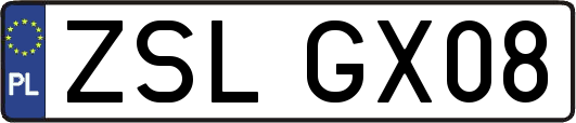 ZSLGX08