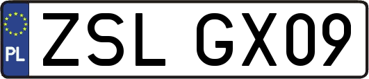 ZSLGX09