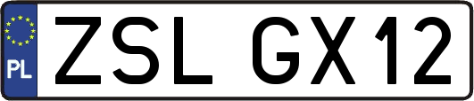 ZSLGX12