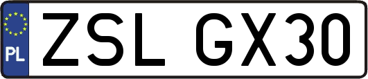 ZSLGX30