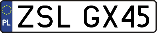 ZSLGX45