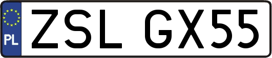 ZSLGX55
