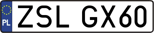 ZSLGX60