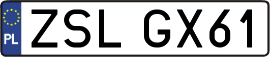 ZSLGX61