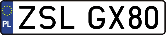 ZSLGX80