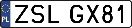 ZSLGX81