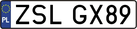 ZSLGX89