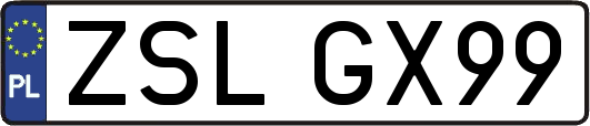 ZSLGX99
