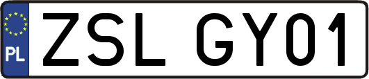 ZSLGY01