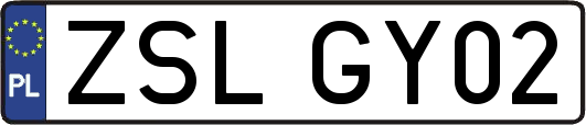 ZSLGY02