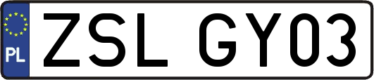 ZSLGY03