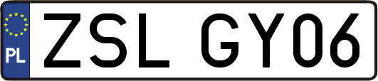 ZSLGY06