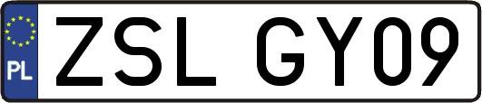 ZSLGY09