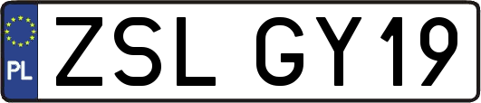 ZSLGY19