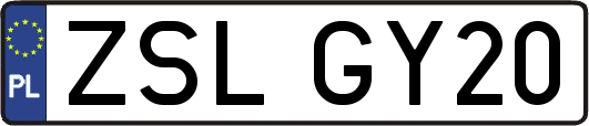 ZSLGY20